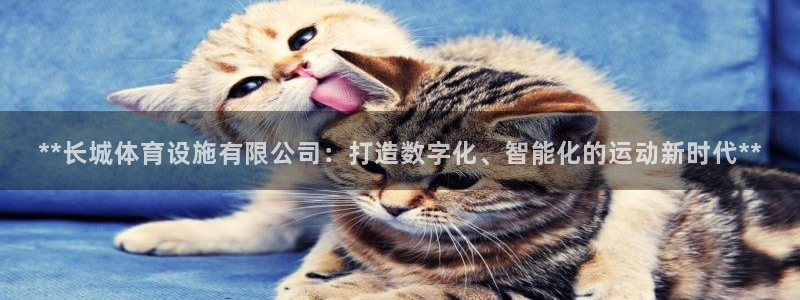意昂3集团官网首页：**长城体育设施有限公司：打造数