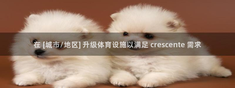 意昂体育3招商电话号码：在 [城市/地区] 升级体育