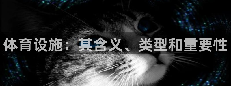 意昂3官网：体育设施：其含义、类型和重要性