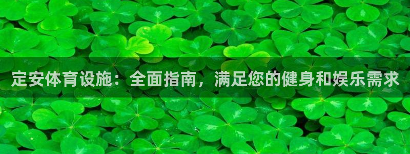意昂3神州：定安体育设施：全面指南，满足您的健身和娱