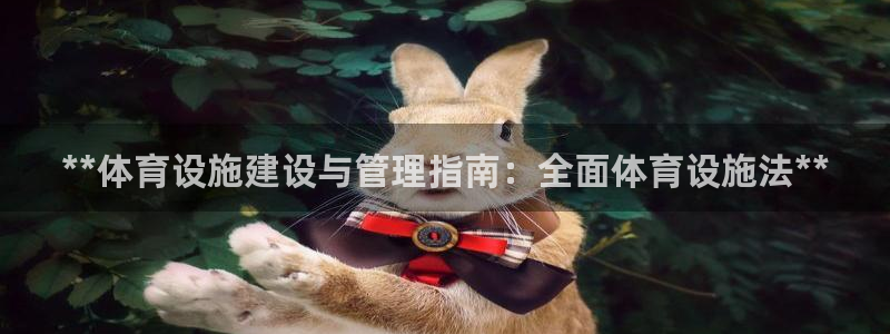 意昂3集团logo：**体育设施建设与管理指南：全面