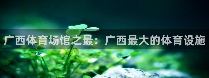 意昂体育3联系电话：广西体育场馆之最：广西最大的体育