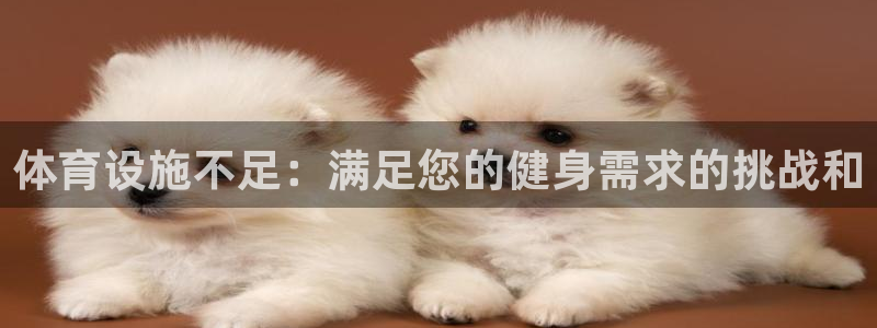 意昂3集团：体育设施不足：满足您的健身需求的挑战和