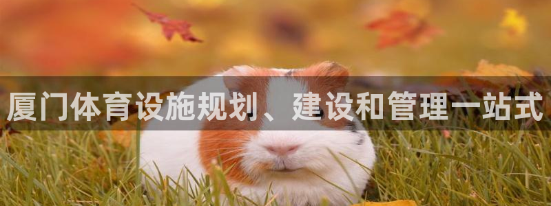 意昂3集团官网首页网址：厦门体育设施规划、建设和管理