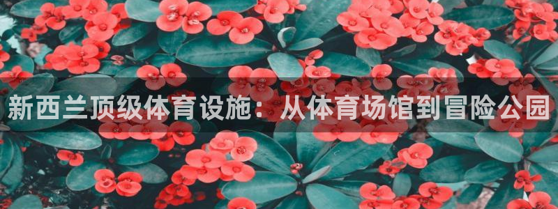海南意昂体育3：新西兰顶级体育设施：从体育场馆到冒险