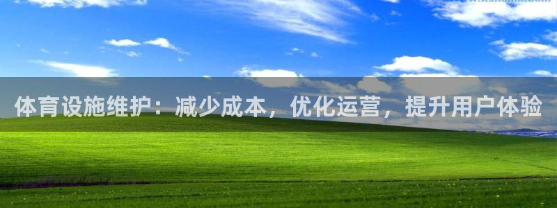 意昂体育3平台假的吗是真的吗：体育设施维护：减少成本