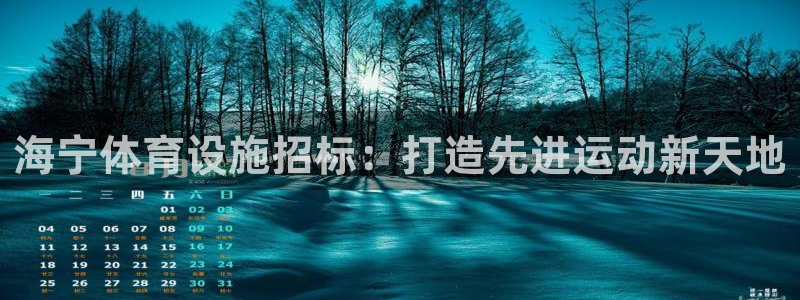意昂体育3平台：海宁体育设施招标：打造先进运动新天地