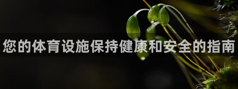 意昂3集团：您的体育设施保持健康和安全的指南