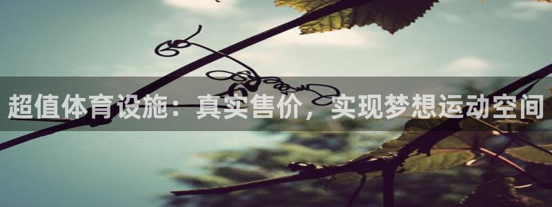 意昂体育3开户：超值体育设施：真实售价，实现梦想运动