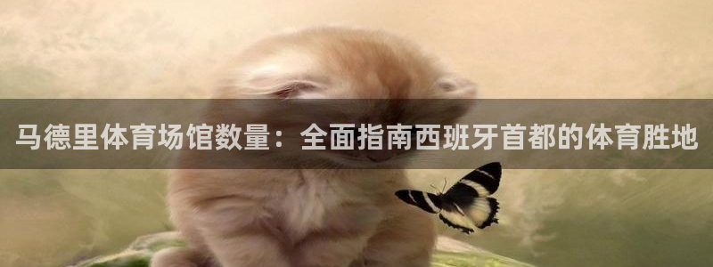 意昂体育3平台注册流程视频：马德里体育场馆数量：全面