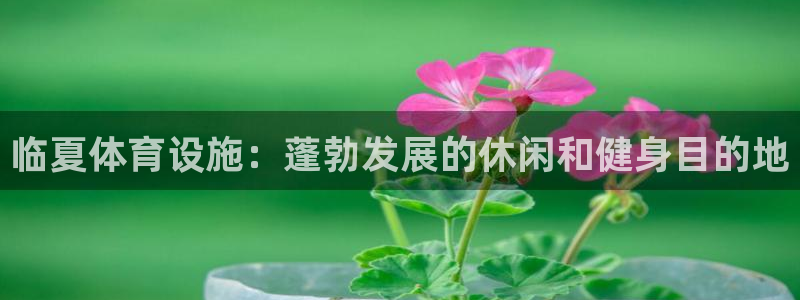 意昂体育3联系电话：临夏体育设施：蓬勃发展的休闲和健