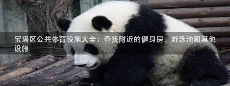 意昂体育3软件：宝塔区公共体育设施大全：查找附近的健