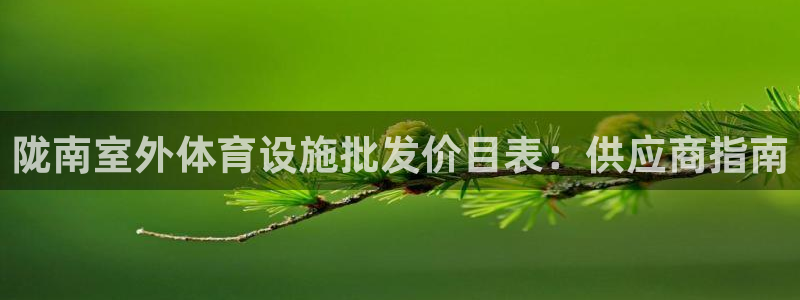 意昂3开户：陇南室外体育设施批发价目表：供应商指南