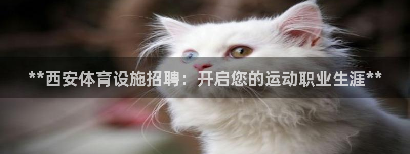 意昂3娱乐平台：**西安体育设施招聘：开启您的运动职