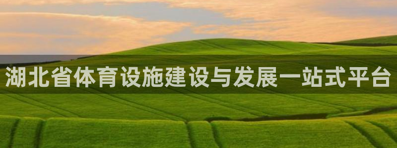 意昂体育3娱乐：湖北省体育设施建设与发展一站式平台