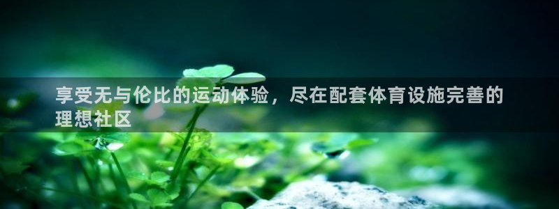 意昂体育3平台注册流程图：享受无与伦比的运动体验，尽