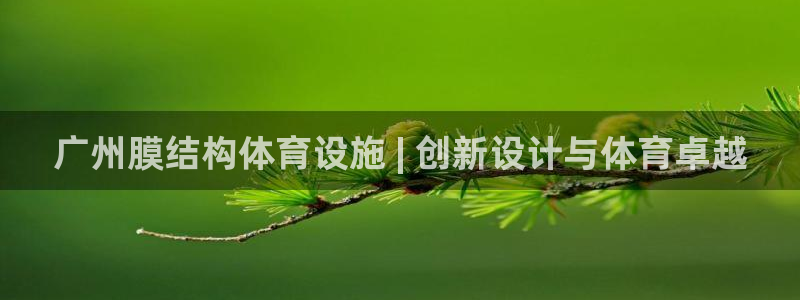 意昂集团官网：广州膜结构体育设施 | 创新设计与体育