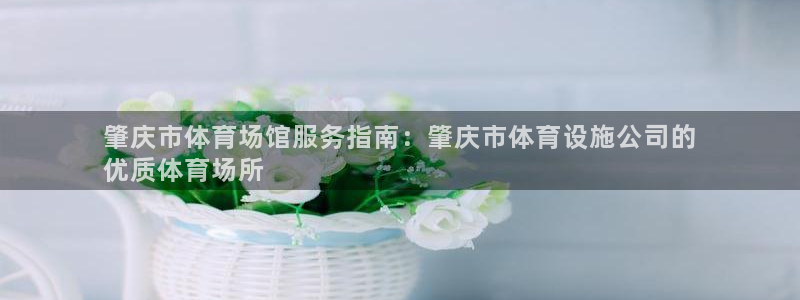 意昂3代理：肇庆市体育场馆服务指南：肇庆市体育设施公