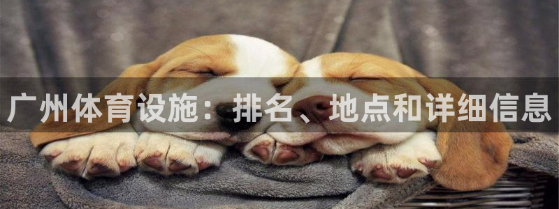 意昂体育3招商电话是多少：广州体育设施：排名、地点和