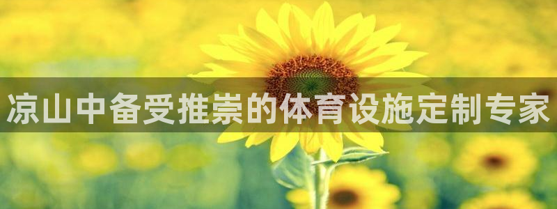 意昂体育3注册：凉山中备受推崇的体育设施定制专家