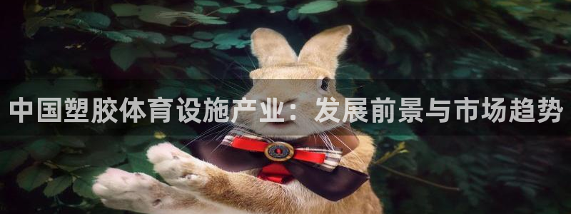 海南意昂体育3发展怎么样：中国塑胶体育设施产业：发展