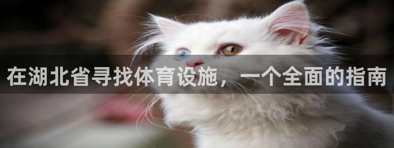 海南意昂体育3发展怎么样：在湖北省寻找体育设施，一个