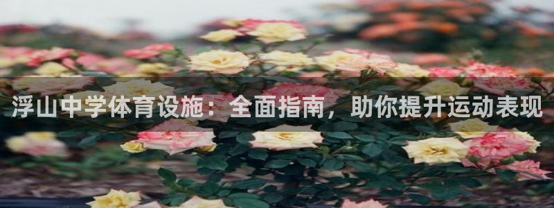 意昂体育3软件：浮山中学体育设施：全面指南，助你提升