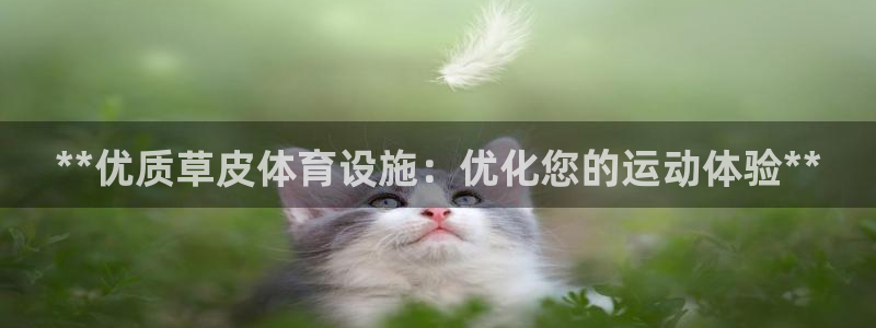 意昂3娱乐网站：**优质草皮体育设施：优化您的运动体