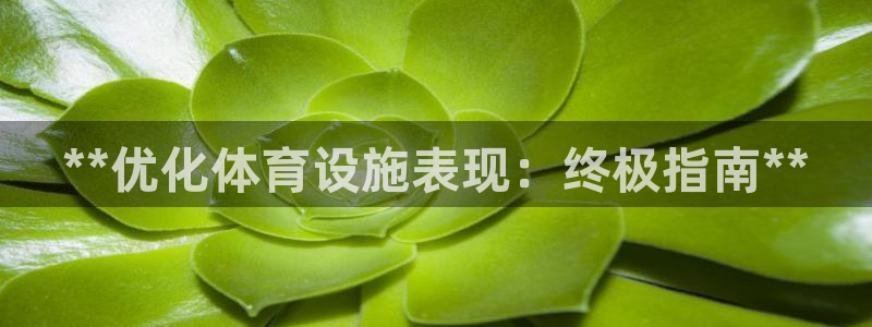 意昂集团官网：**优化体育设施表现：终极指南**