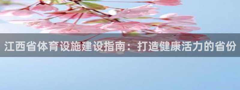 意昂3新能源：江西省体育设施建设指南：打造健康活力的