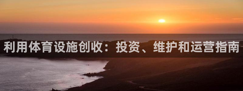 意昂3官网：利用体育设施创收：投资、维护和运营指南