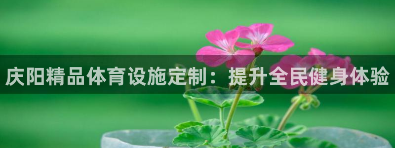 意昂3娱乐首页网站大全：庆阳精品体育设施定制：提升全