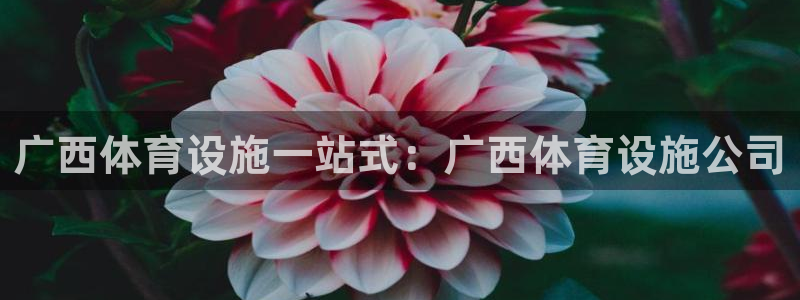 意昂体育3是干嘛的公司