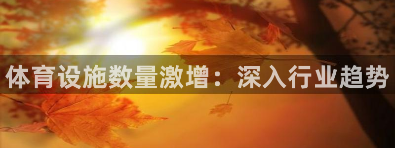 意昂平台体育：体育设施数量激增：深入行业趋势