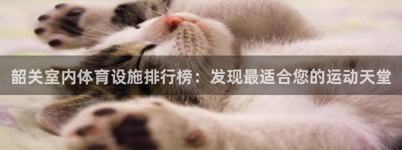 意昂3娱乐网站：韶关室内体育设施排行榜：发现最适合您