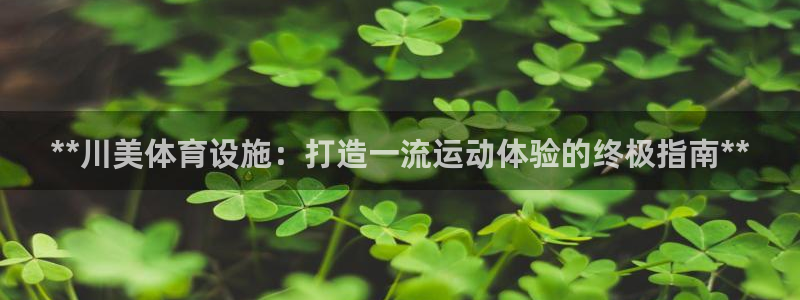 意昂体育3平台APP：**川美体育设施：打造一流运动
