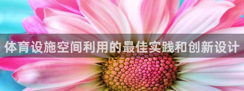 意昂体育3平台假的吗是真的吗吗：体育设施空间利用的最