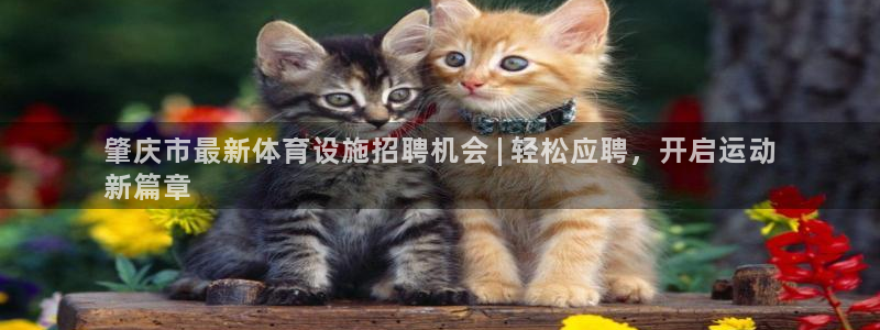 意昂体育3平台注册流程视频：肇庆市最新体育设施招聘机