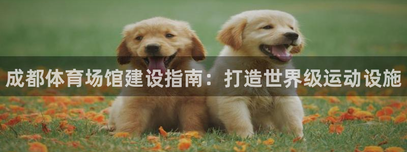 意昂3集团官网首页：成都体育场馆建设指南：打造世界级