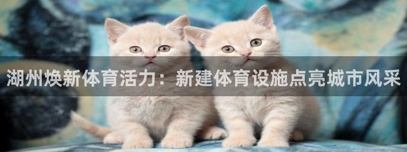 意昂体育3是干嘛的公司：湖州焕新体育活力：新建体育设