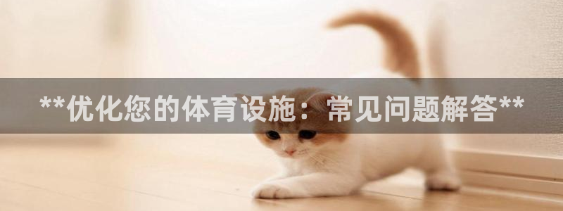 意昂体育3招商：**优化您的体育设施：常见问题解答*