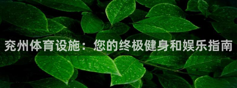 意昂3神州：兖州体育设施：您的终极健身和娱乐指南