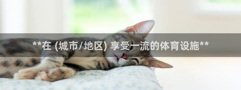 意昂3集团简介：**在 (城市/地区) 享受一流的体