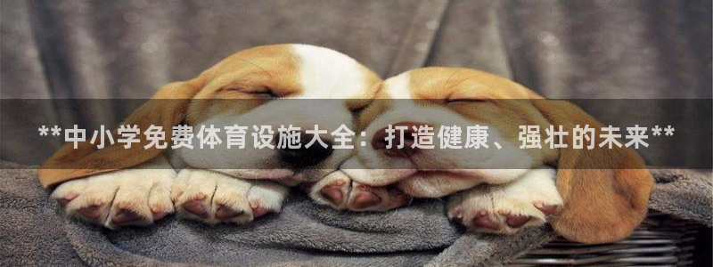 意昂3代理：**中小学免费体育设施大全：打造健康、强