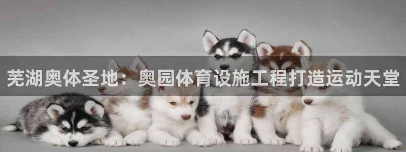 意昂体育3平台注册：芜湖奥体圣地：奥园体育设施工程打