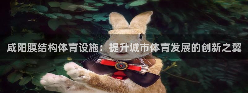 意昂体育3平台是正规平台吗：咸阳膜结构体育设施：提升
