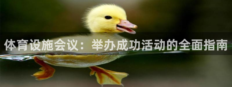 意昂3集团：体育设施会议：举办成功活动的全面指南