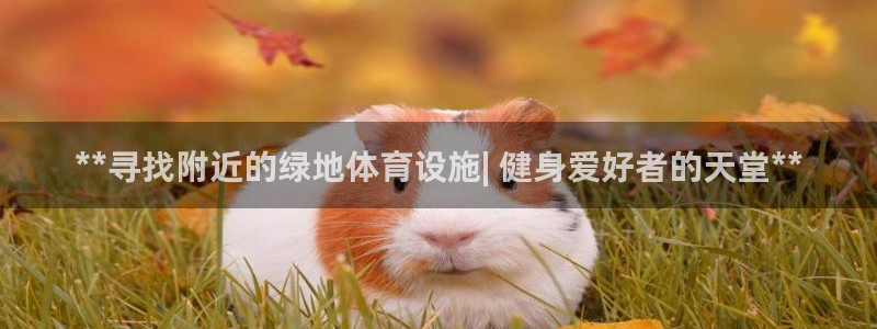 意昂3神州：**寻找附近的绿地体育设施| 健身爱好者