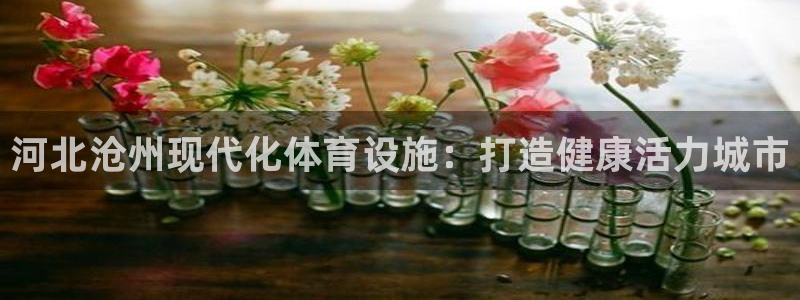 意昂体育3联系电话：河北沧州现代化体育设施：打造健康