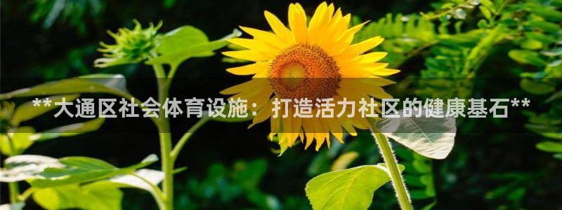 注册意昂3：**大通区社会体育设施：打造活力社区的健